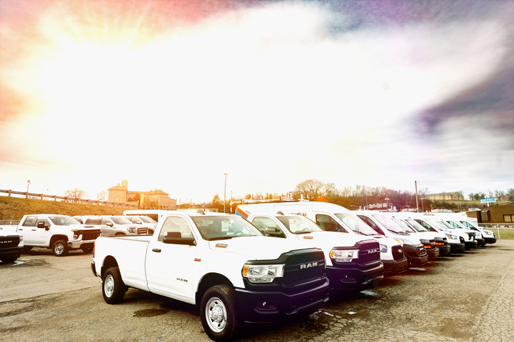 Professional fleet manager